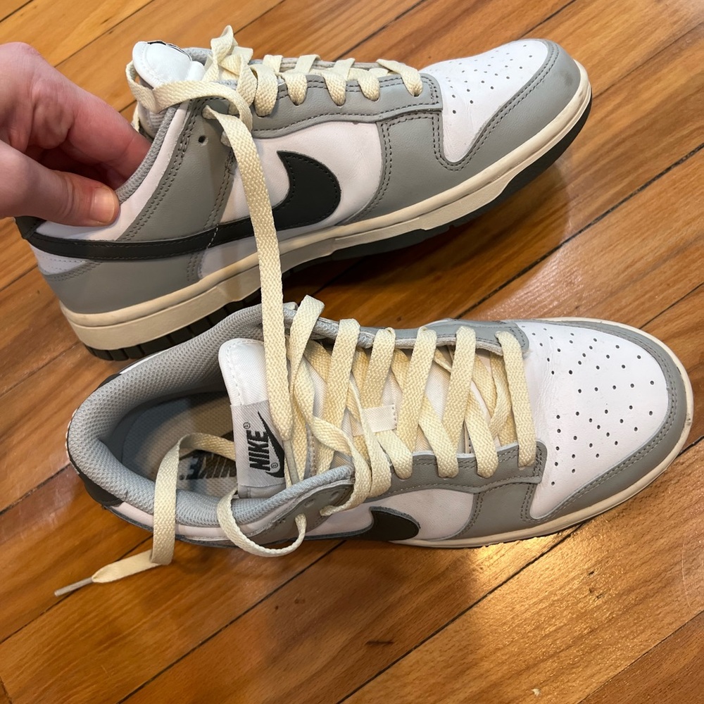 Nike Dunks 8.5